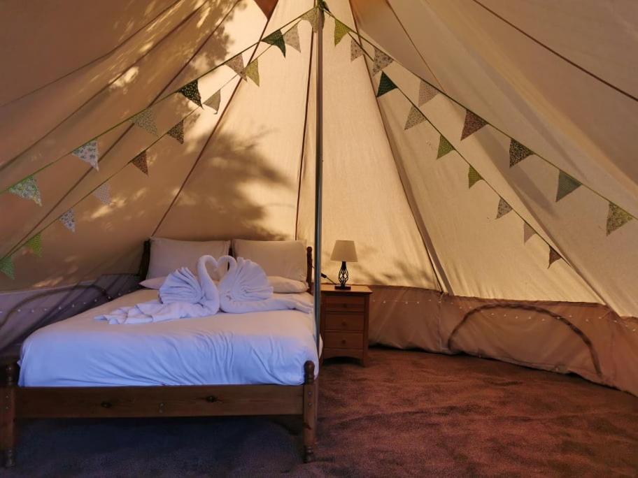 Wall Eden Farm - Luxury Log Cabins And Glamping Highbridge Dış mekan fotoğraf